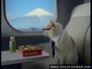 business-cat-o-1427913836512.gif