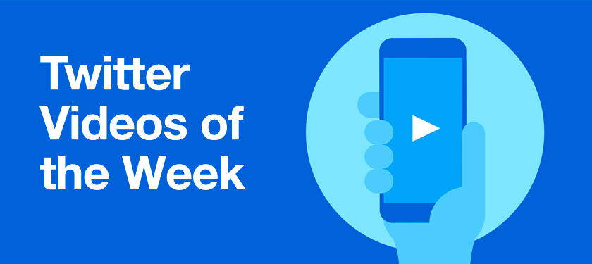 Twitter Videos of the Week